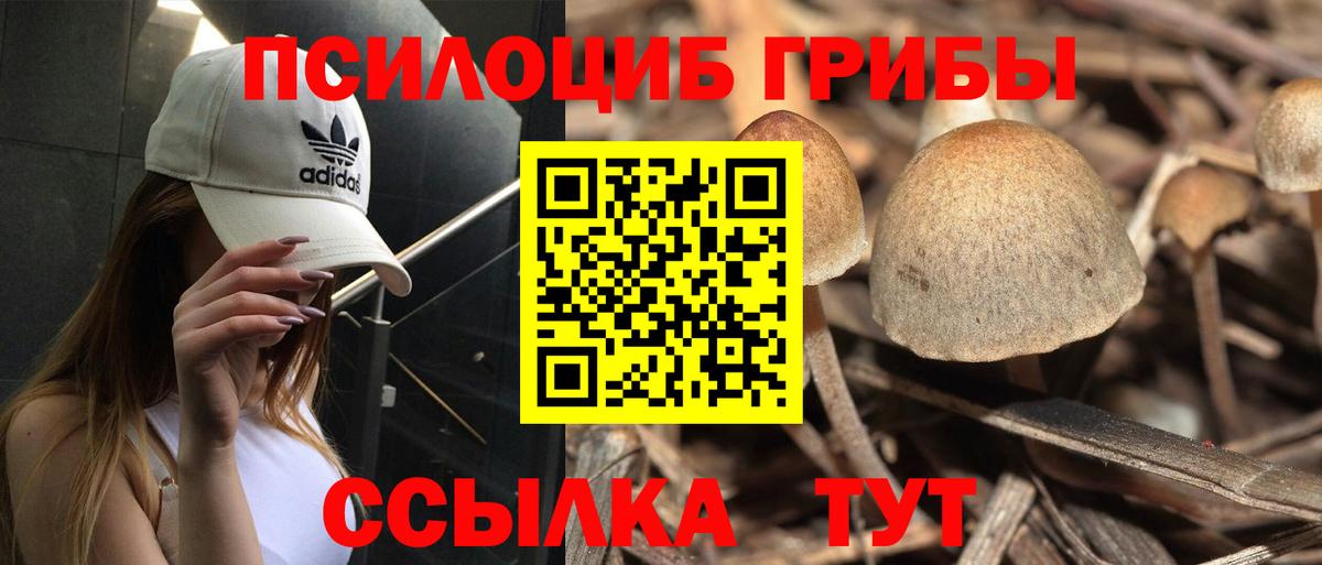 Псилоцибиновые грибы Magic Shrooms Лобня